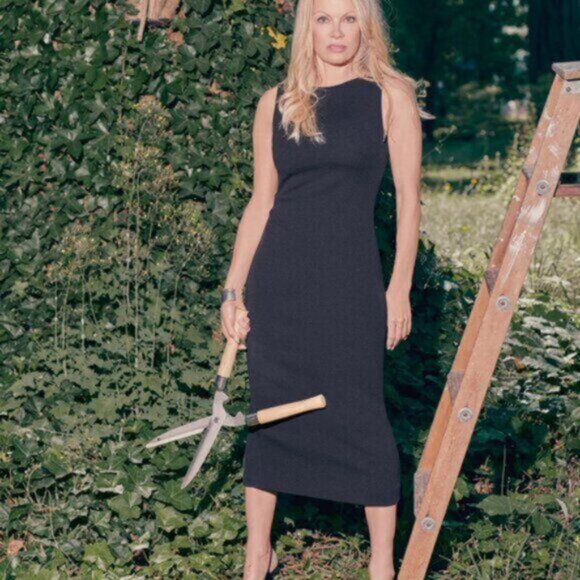 Aritzia Babaton Doorway Dress - new with tags - Picture 2 of 5